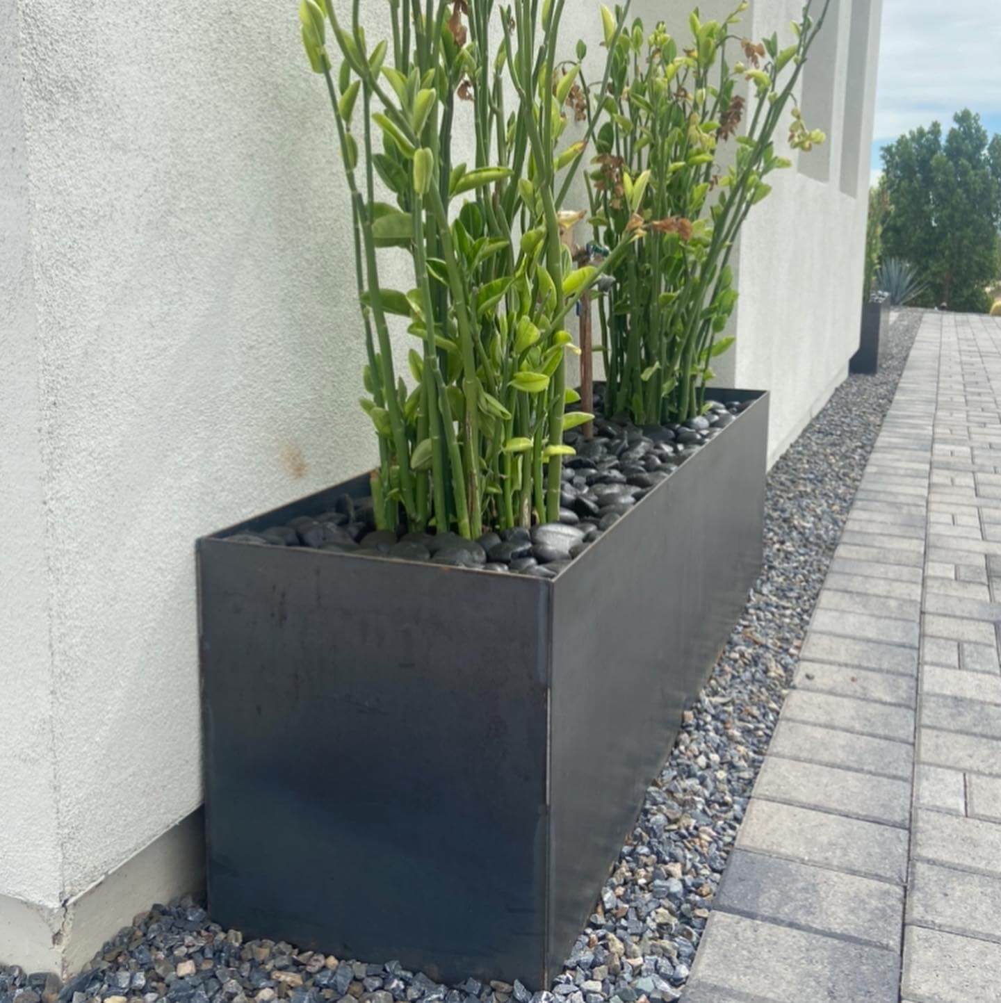 Border & Planter 1