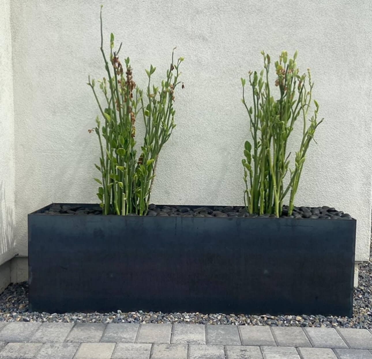 Border & Planter 13
