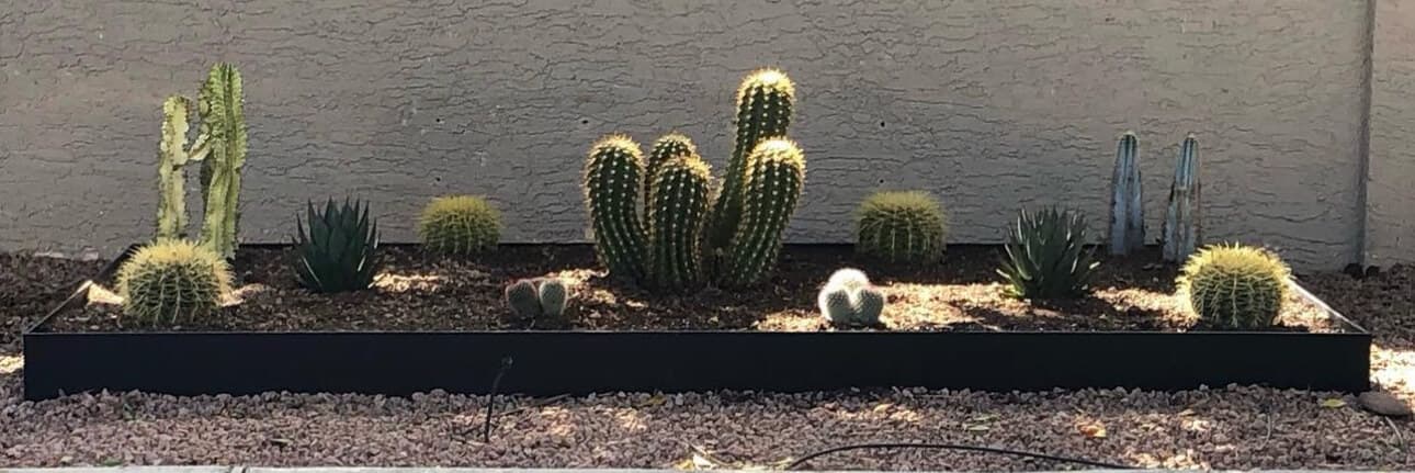 Border & Planter 7