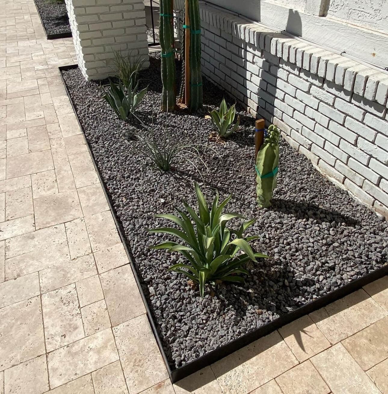 Border & Planter 8