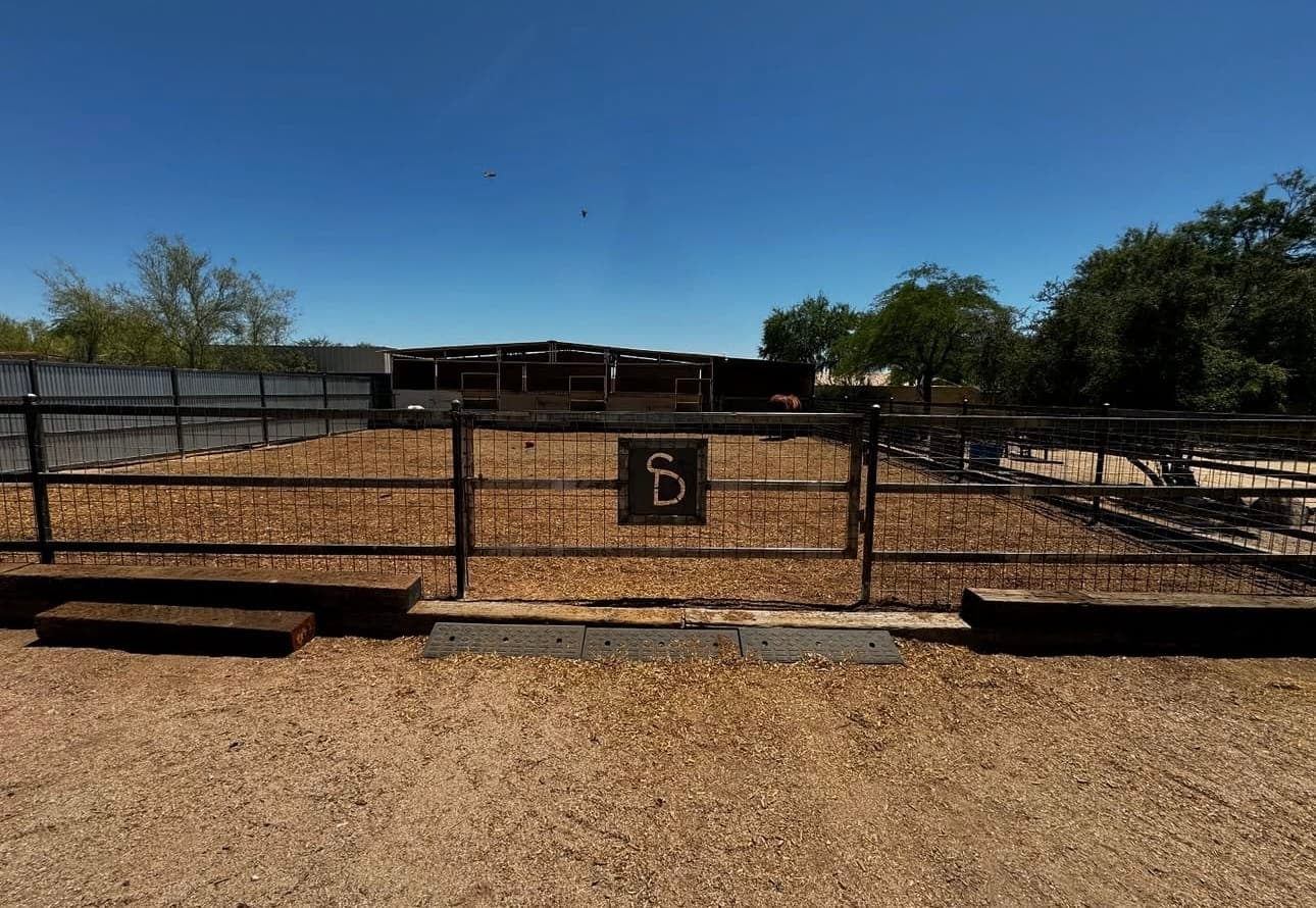 Metal Fencing 6