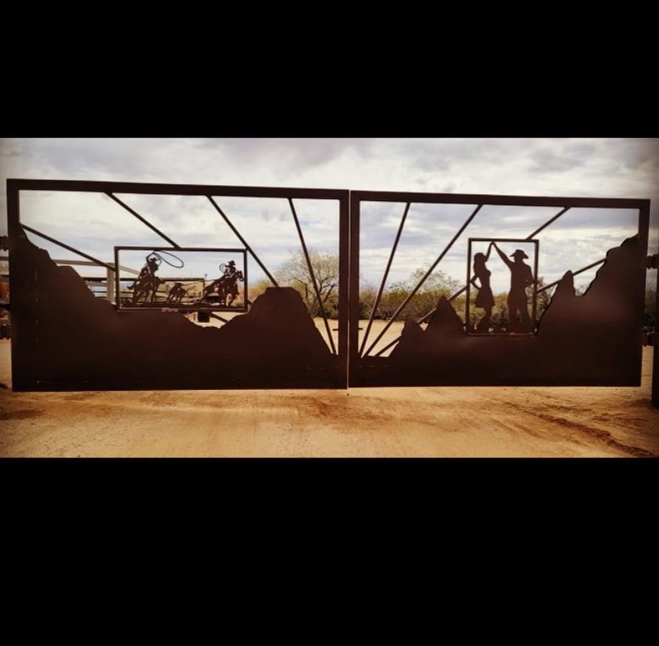 Custom Driveway Gate