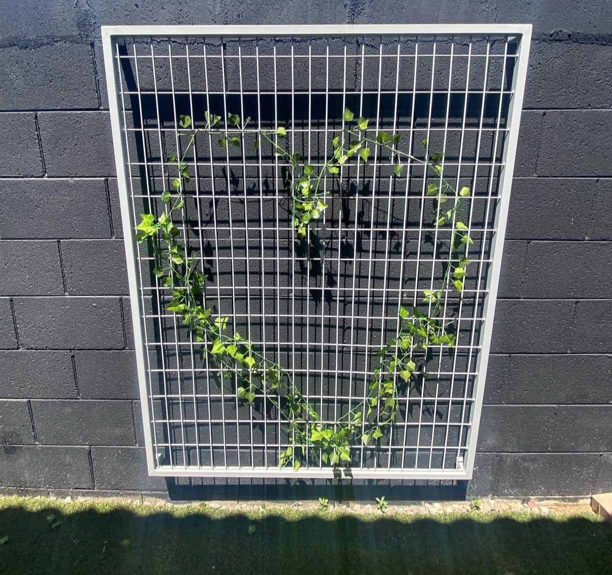 Garden Trellis 1