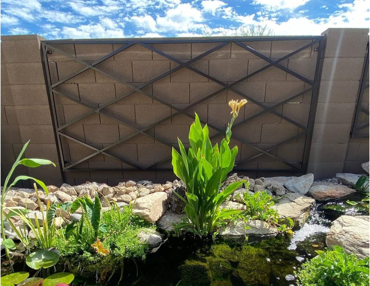 Garden Trellis 11