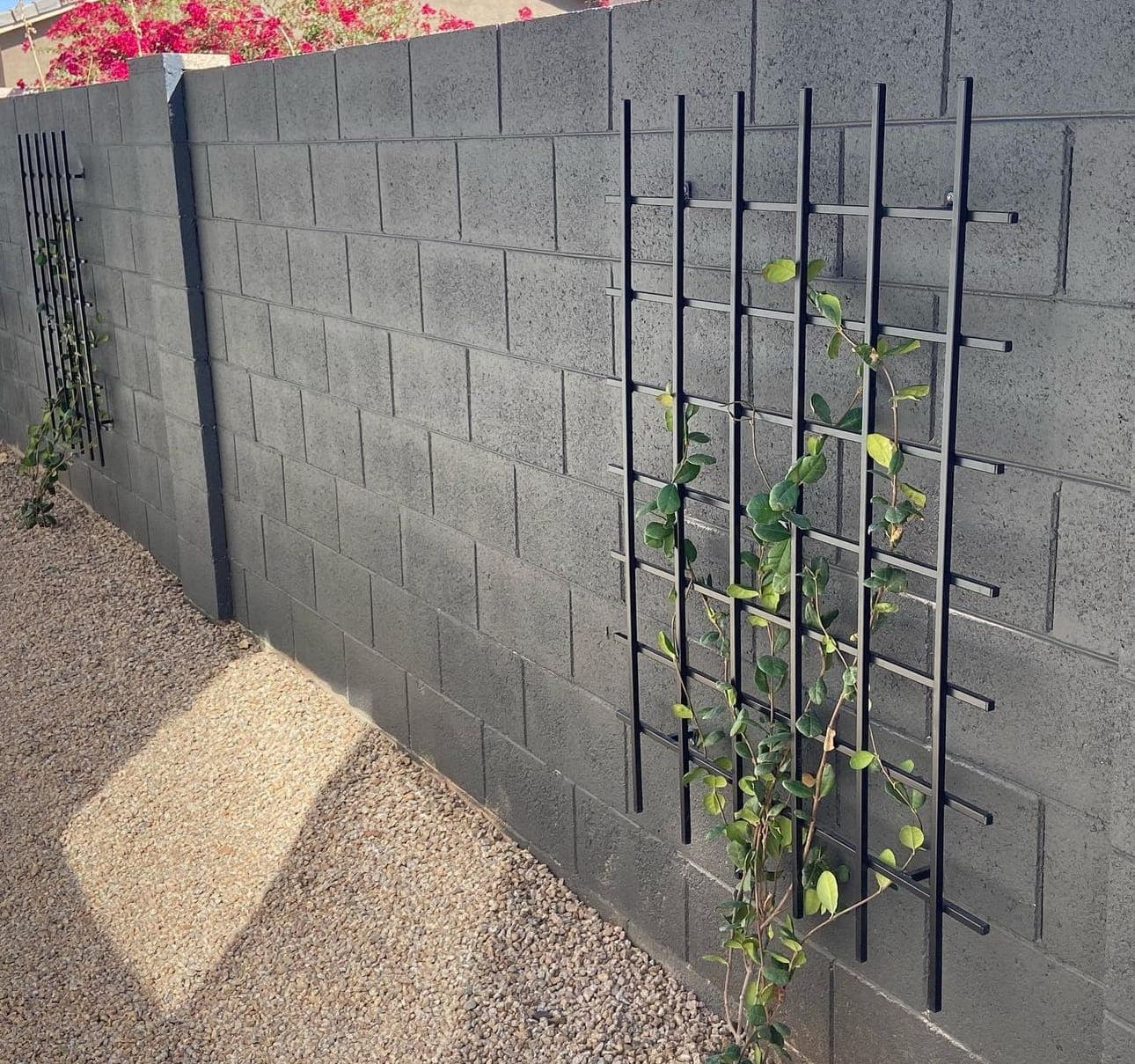Garden Trellis 16