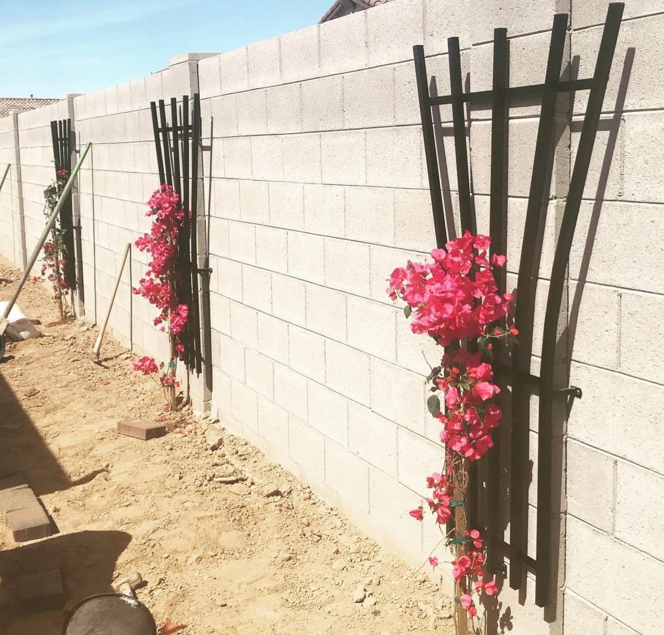 Garden Trellis 17