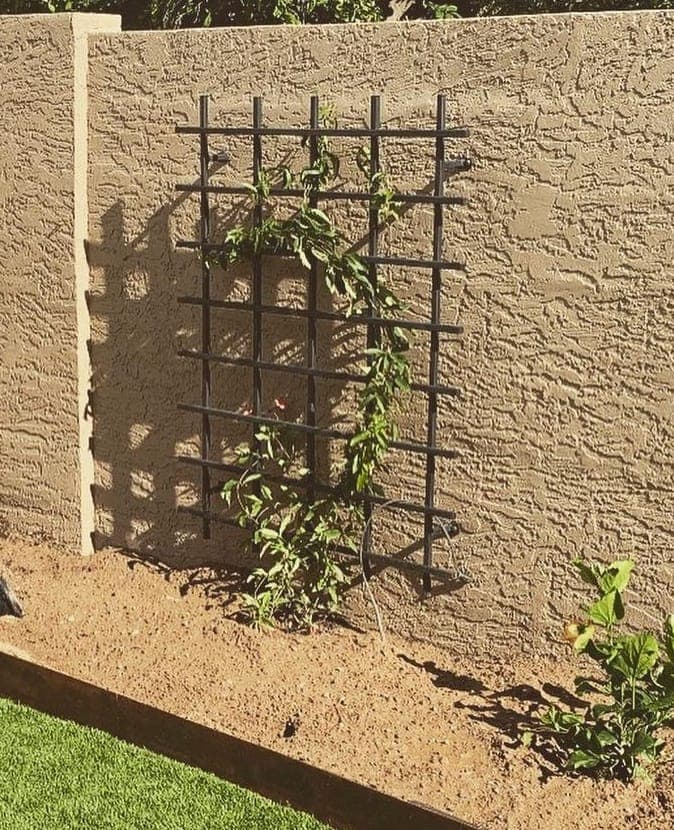 Garden Trellis 19