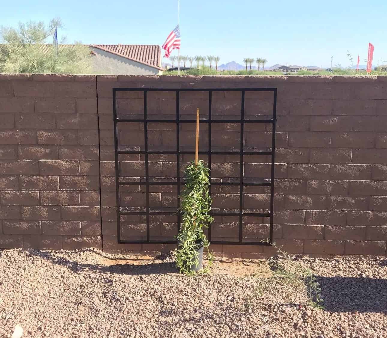 Garden Trellis 2