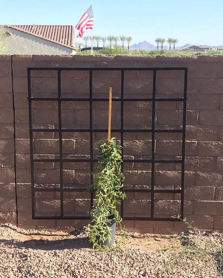 Garden Trellis 20