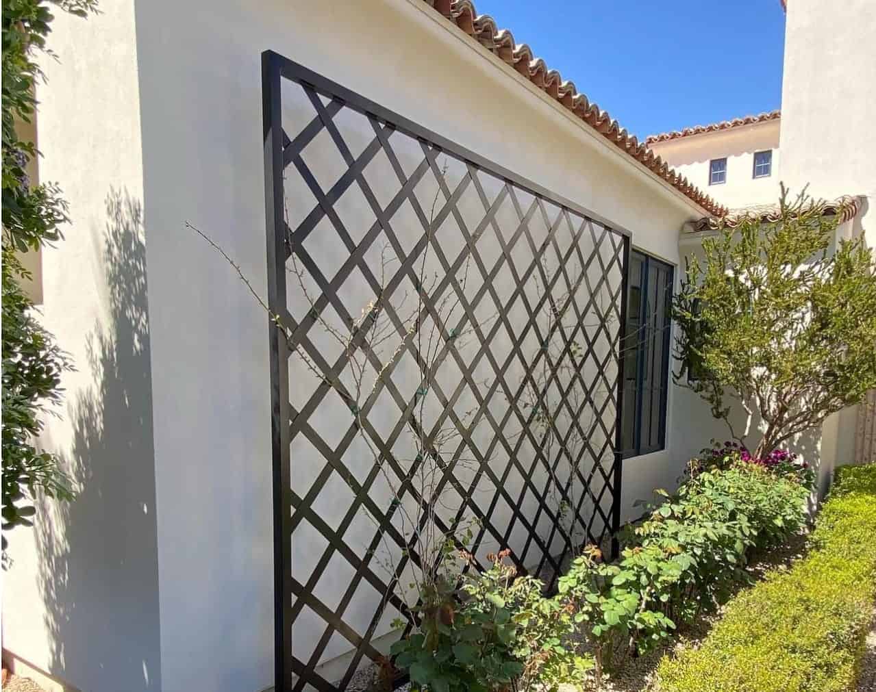 Custom Metal Trellis