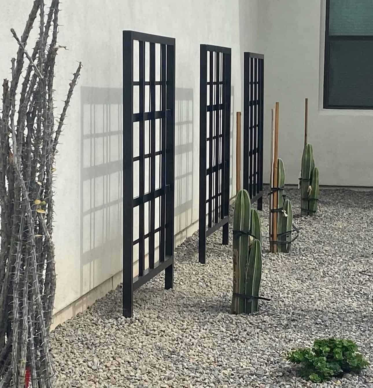 Garden Trellis 5