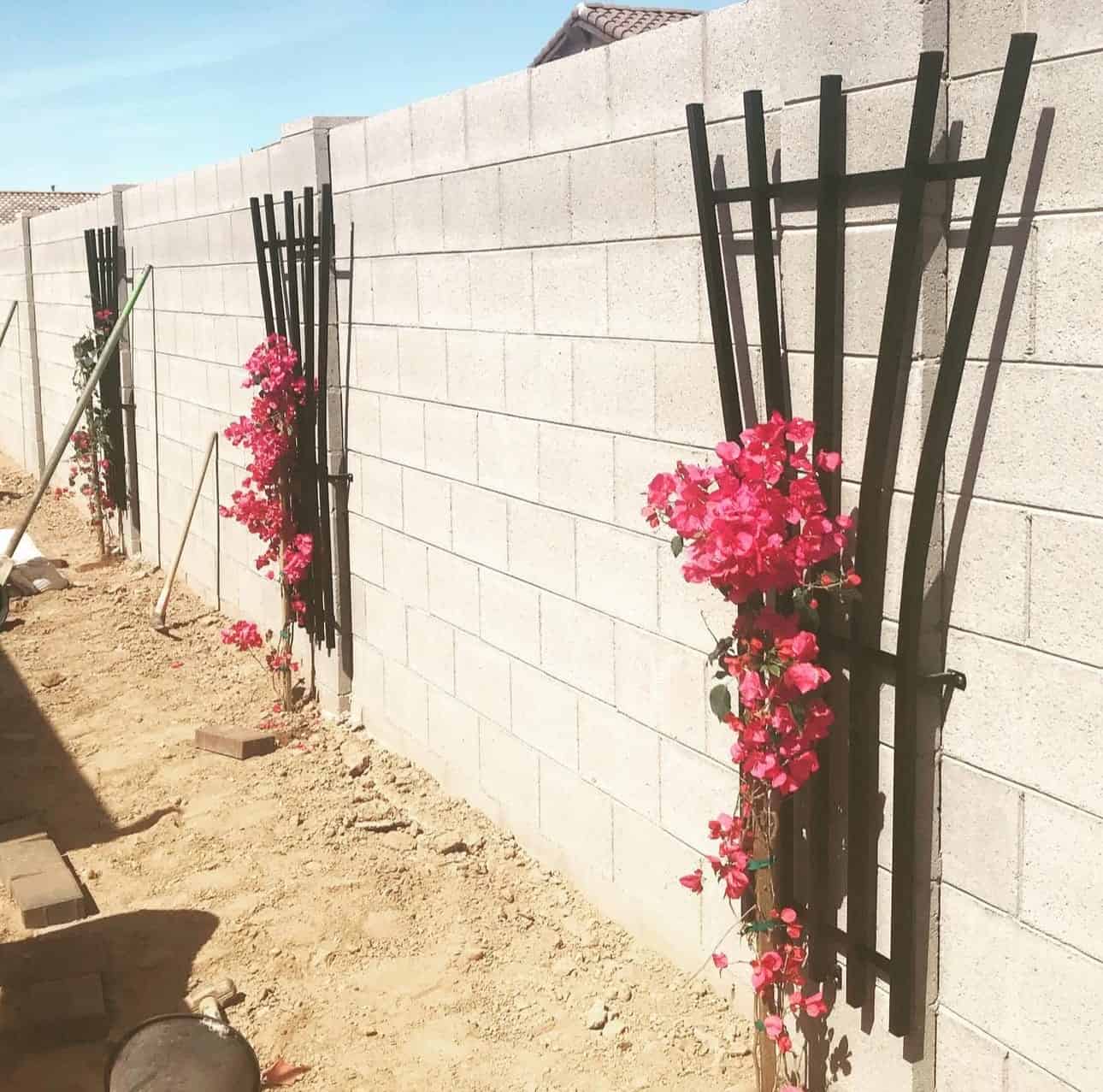 Garden Trellis 8