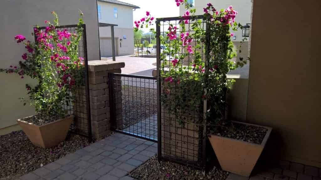 Garden Trellis 9