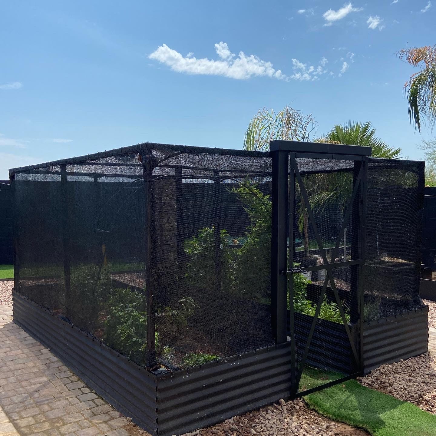 Steel Pergola Structure