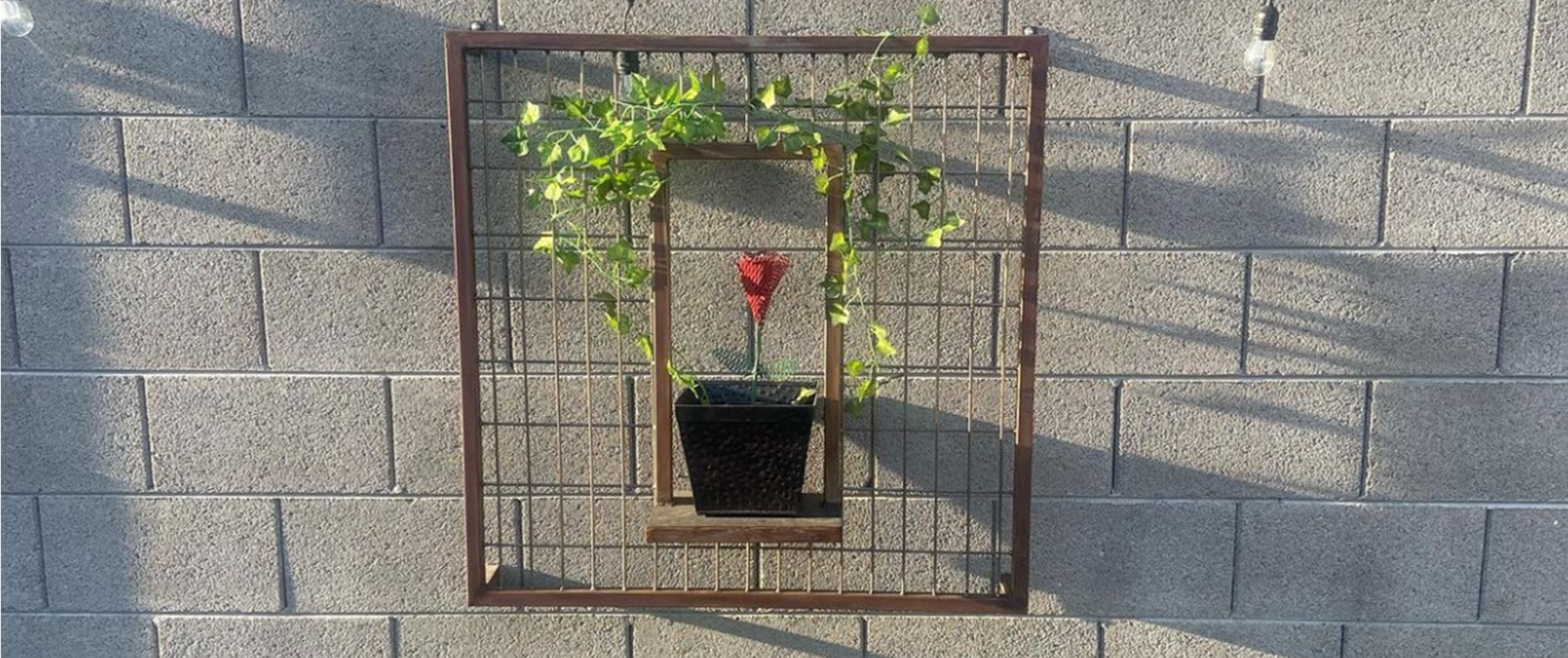 Arizona Garden Trellis