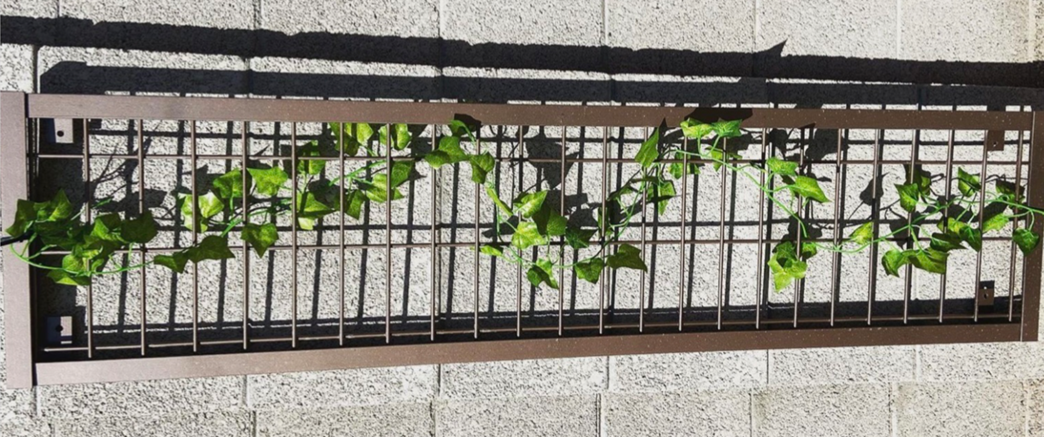 Arizona Plants Trellis